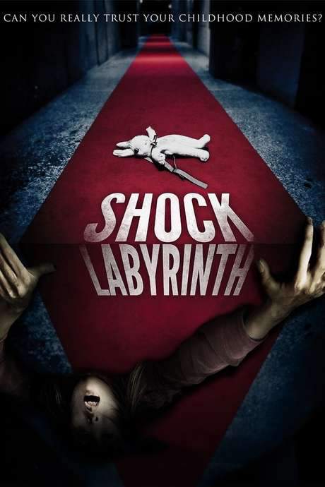 The Shock Labyrinth